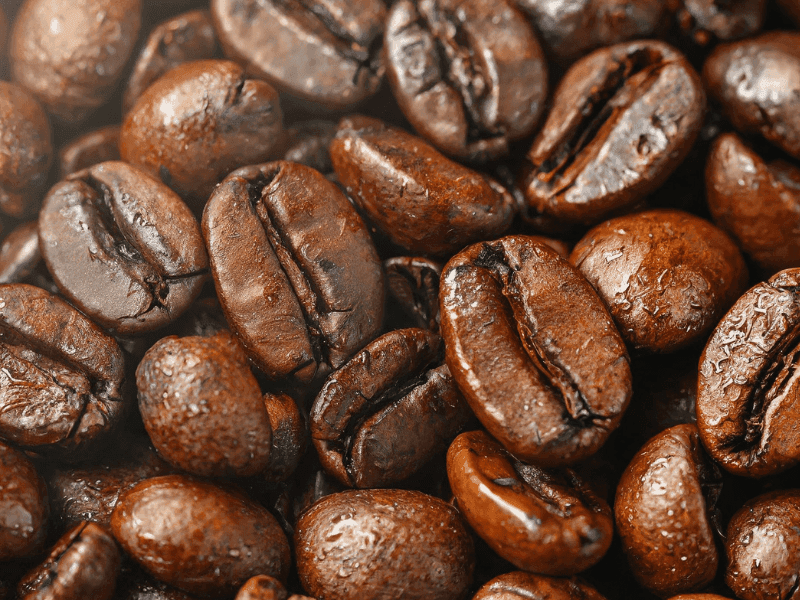 Best Coffee Makers: From Drip to Espresso Machines